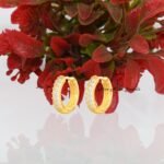 Double Row Hoop Earrings