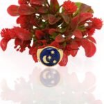 Moonstone Star Ring