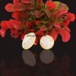 Circle Star Earrings