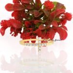 Cross Ring